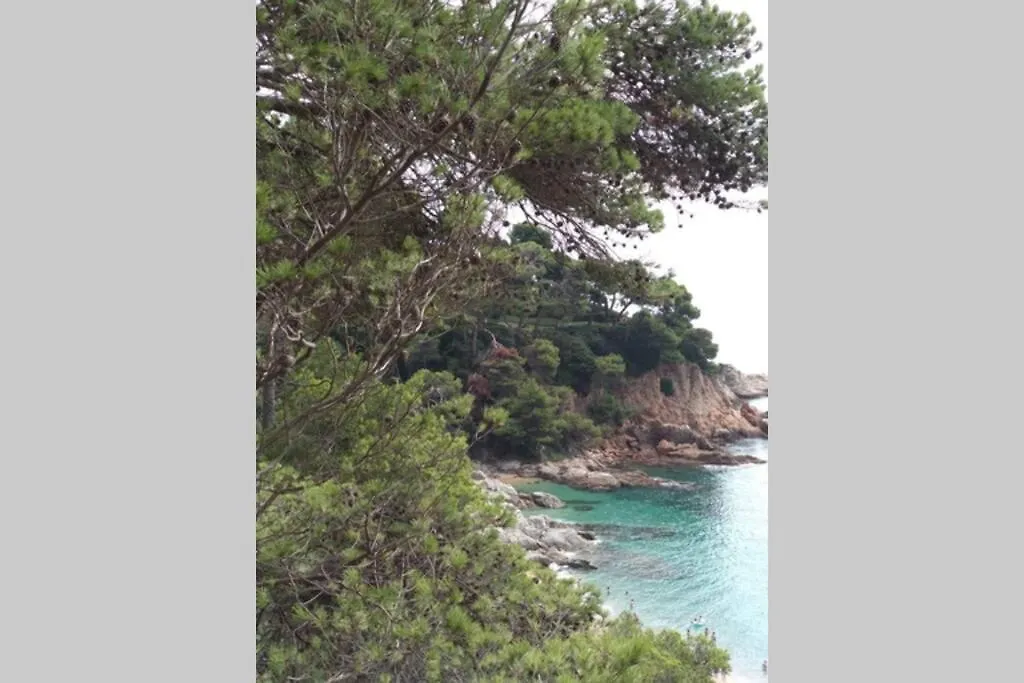 Appartement Tossa De Mar, Miramar Con Piscina
